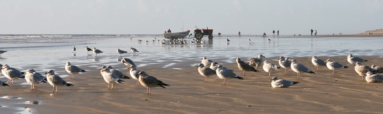 Les plages