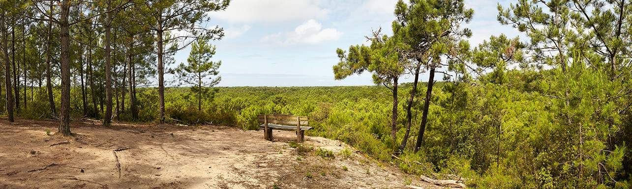 Rubrique environnement