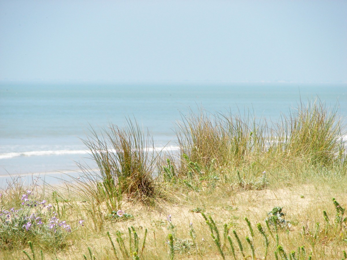 dune blanche saint jean de monts