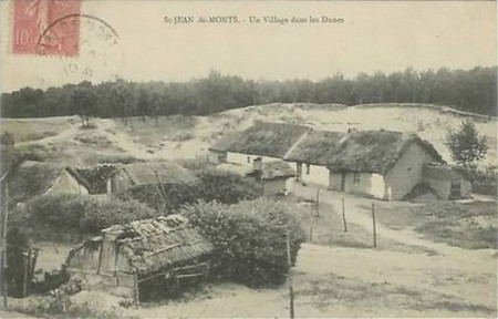 Histoire de le fixation des dunes de Saint-Jean-de-Monts