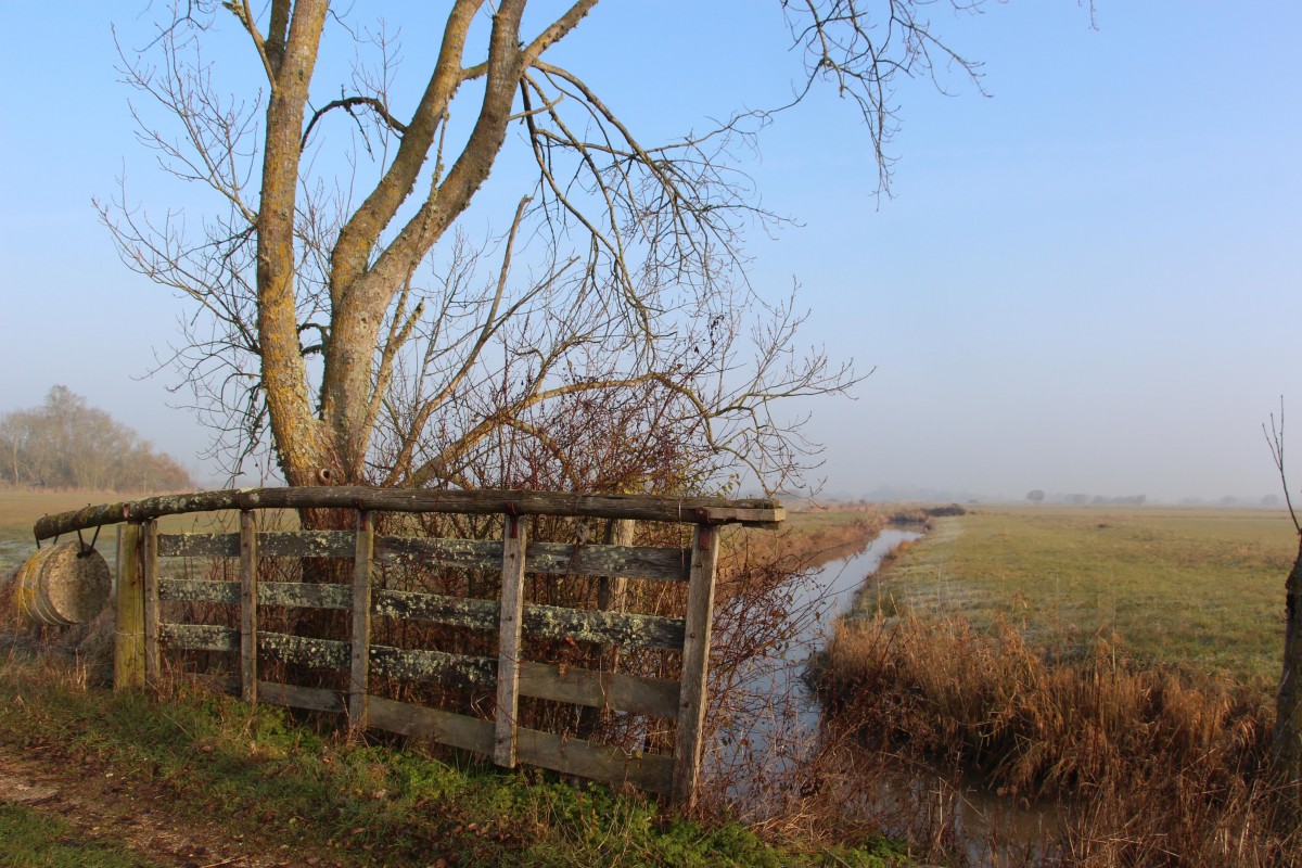 Marais breton vendéen en hiver