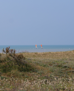 actu-site-dune-12679