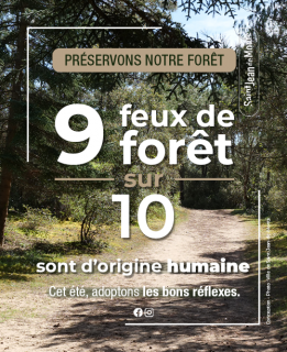 actusite-prevention-feu-de-for-t-12689