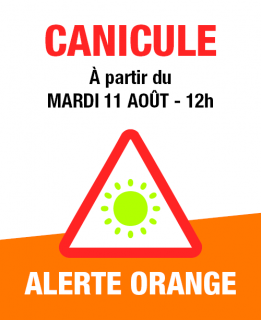 canicule-alerte-orange-20260811-site-actu-12717