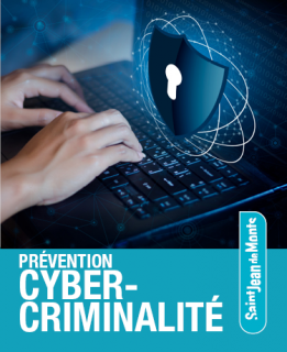 cybercriminalite-8971
