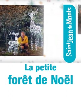 foretnoel-actupetit-8944