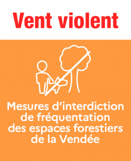 interdiction-foret-site-actu-11073