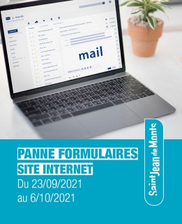 Panne Formulaires Site Internet