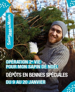 recyclage-sapin-8910