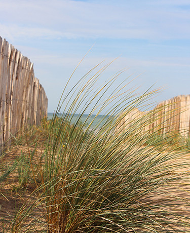 04-dunes-12481