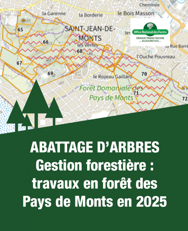 abattage-arbres-onf-actu-site-11750