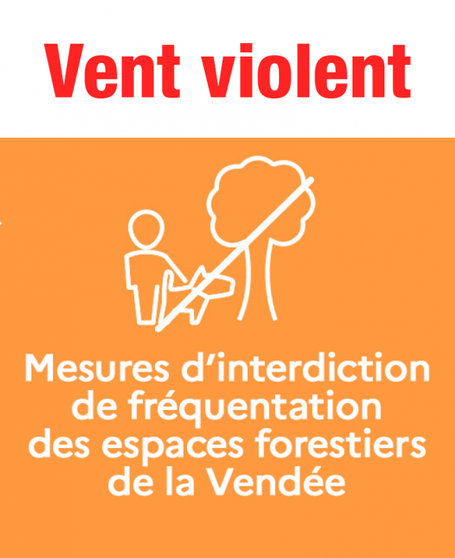 interdiction-foret-site-actu-11073