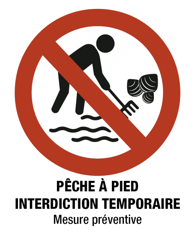 peche-a-pied-interdiction-temporaire-12338