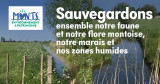 3-sauvegardons-ensemble-marais-faune-flore-montoise-sainjeandemonts-354133