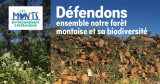 4-defendons-ensemble-notre-foret-montoise-sainjeandemonts-354134