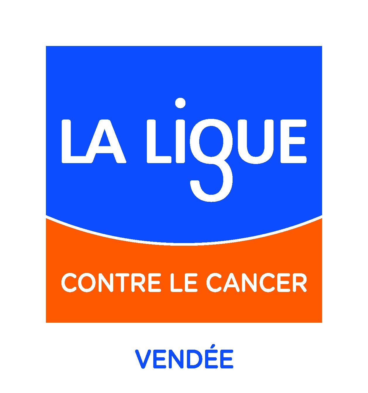 logo-comite-ligue-vendee-coul-186574