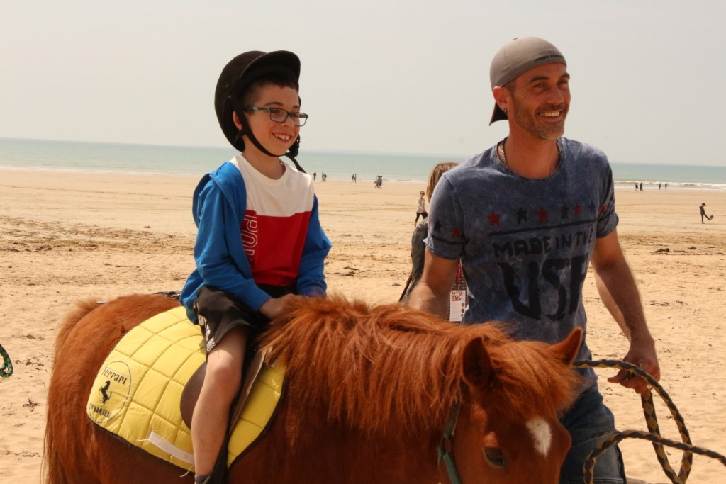 Baby poney