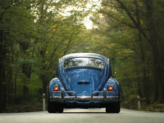 37e randonnée autos et utilitaires anciens
