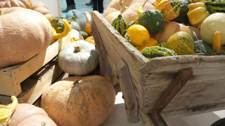 Ci t'as la Trouille Ci t'as la Trouille