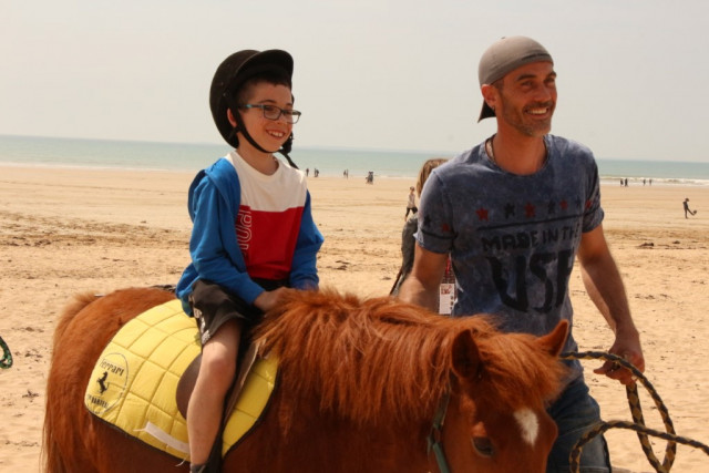 Baby poney