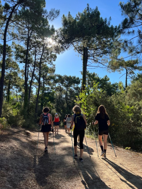 marche en foret